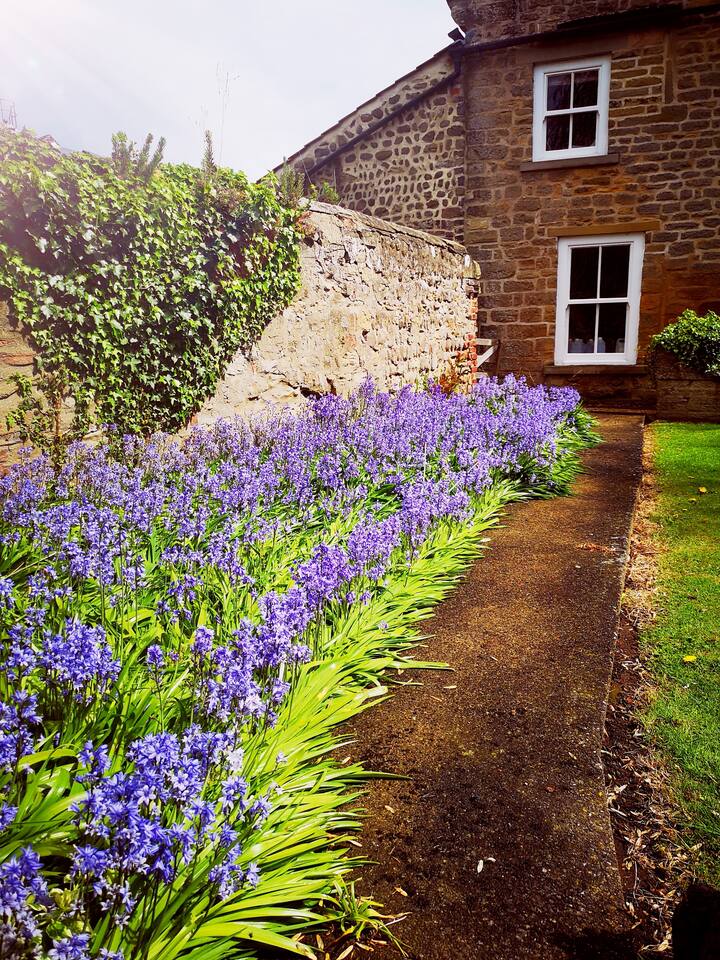 Grange Farm Lodge and its North Yorkshire surroundings — photograph 16