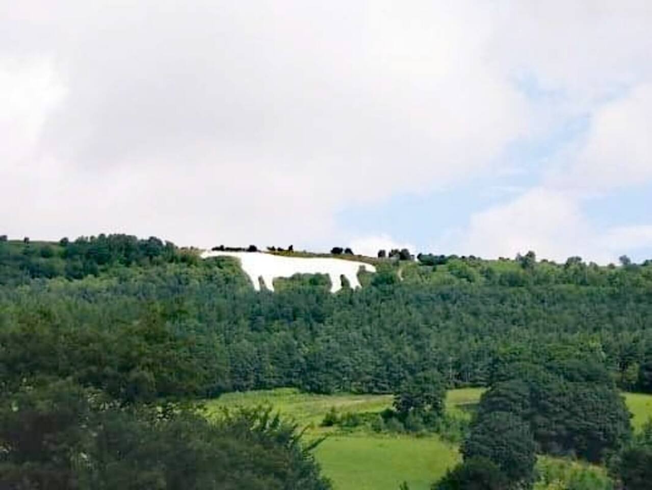 Grange Farm Lodge and its North Yorkshire surroundings — photograph 22