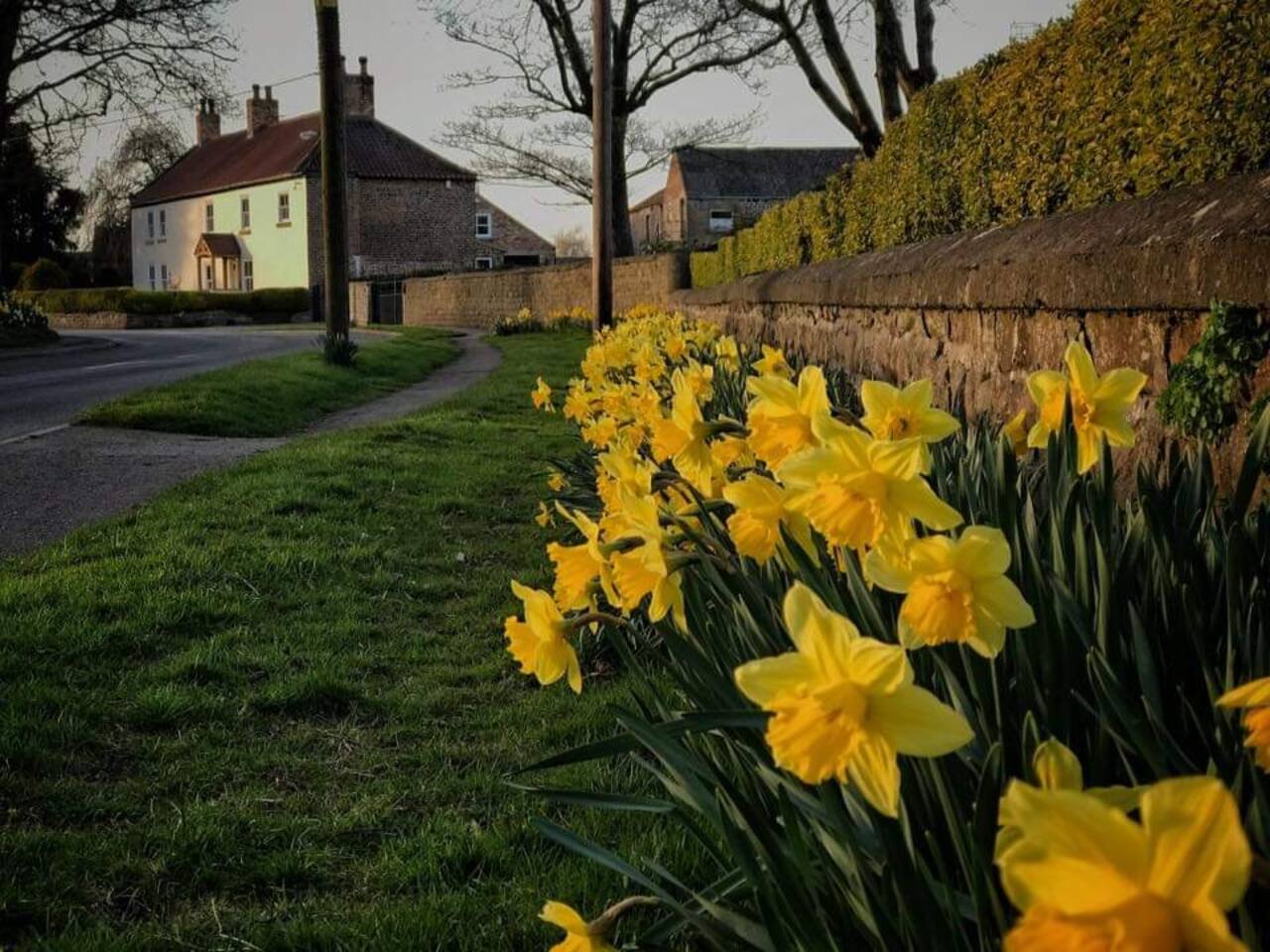 Grange Farm Lodge and its North Yorkshire surroundings — photograph 24