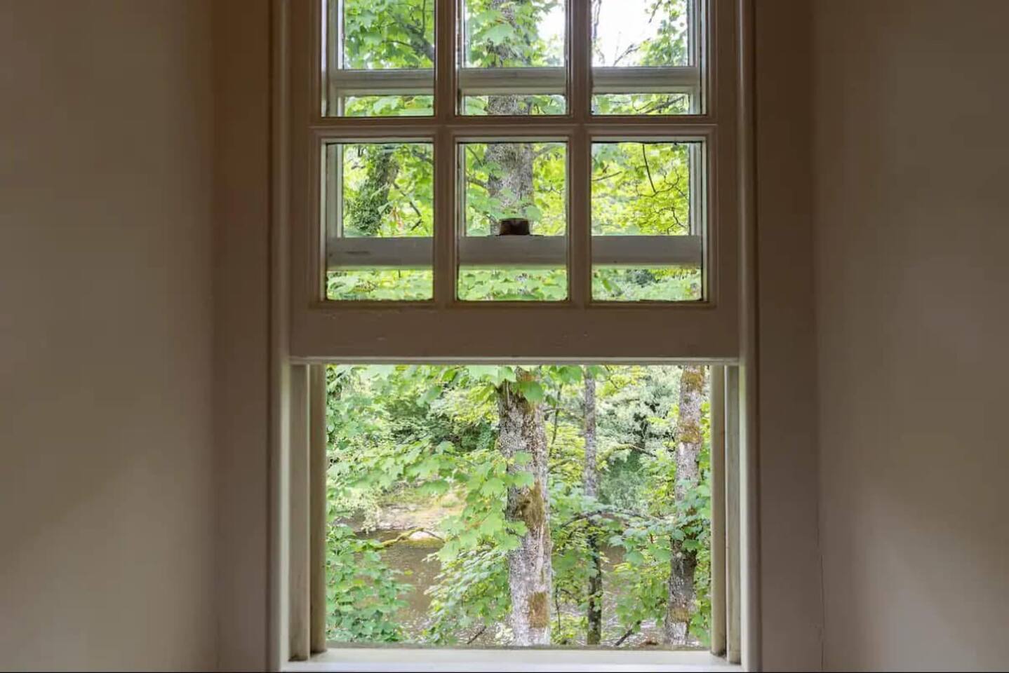 River Dance Cottage and its Aysgarth surroundings — photograph 28